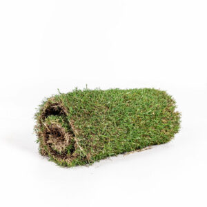 Fresh Patch - Grass Subscription