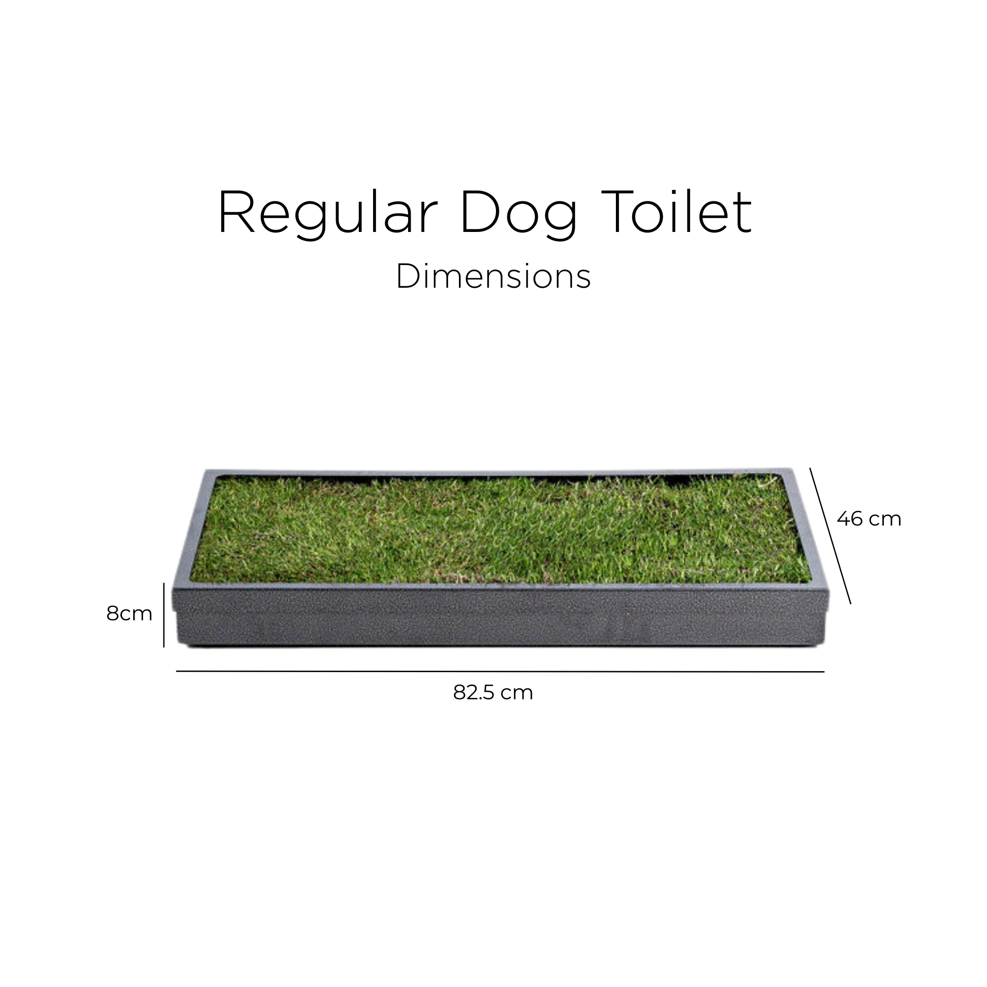 Dog Toilet - Image 3